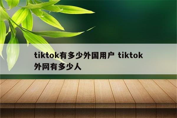 tiktok有多少外国用户 tiktok外网有多少人