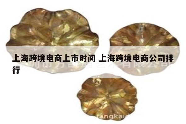 上海跨境电商上市时间 上海跨境电商公司排行