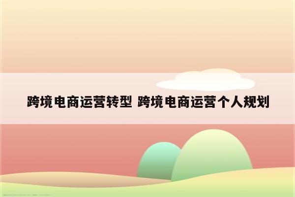 跨境电商运营转型 跨境电商运营个人规划