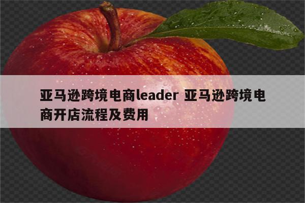 亚马逊跨境电商leader 亚马逊跨境电商开店流程及费用