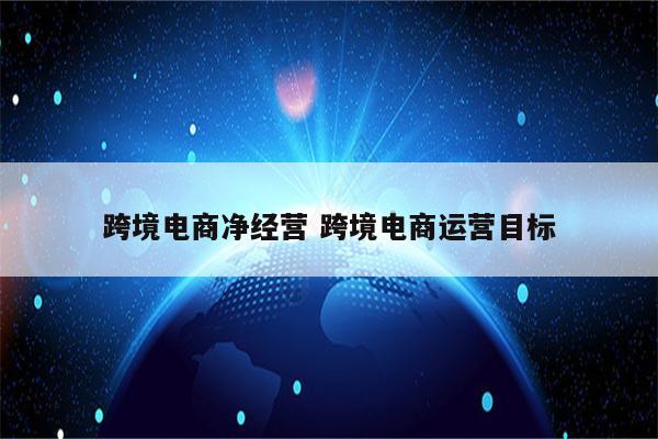 跨境电商净经营 跨境电商运营目标