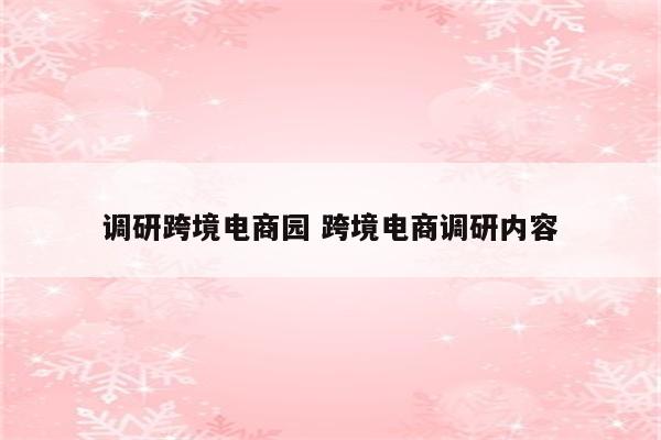 调研跨境电商园 跨境电商调研内容