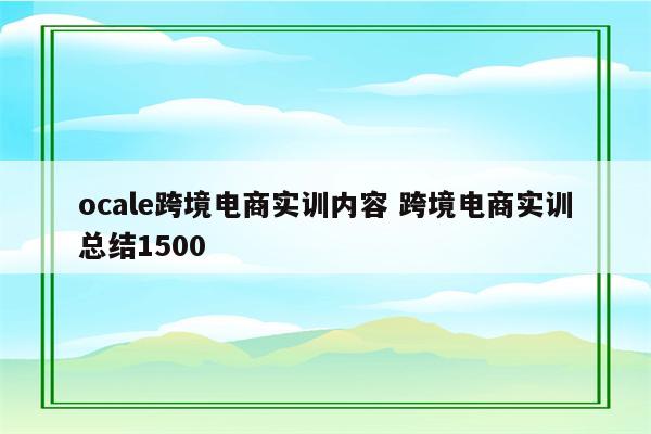 ocale跨境电商实训内容 跨境电商实训总结1500