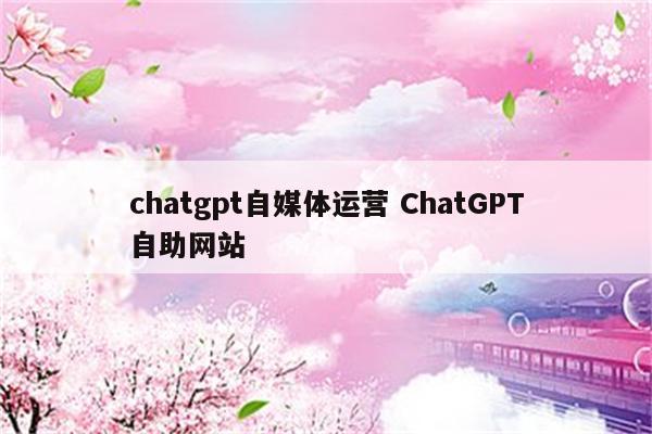 chatgpt自媒体运营 ChatGPT自助网站