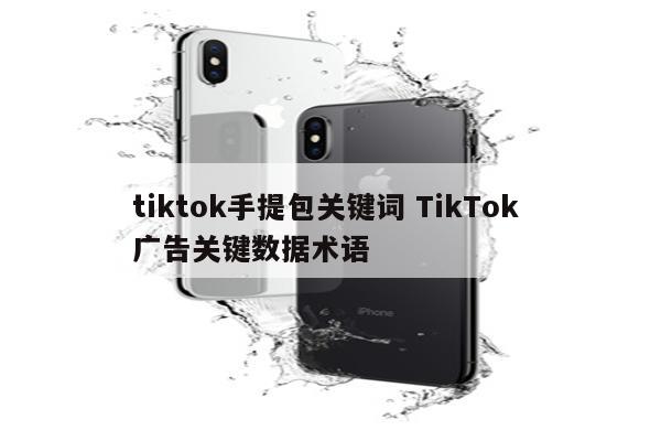 tiktok手提包关键词 TikTok 广告关键数据术语