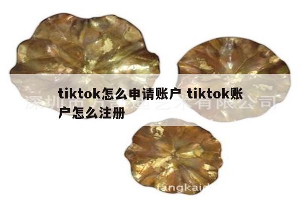 tiktok怎么申请账户 tiktok账户怎么注册