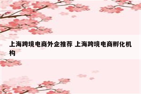上海跨境电商外企推荐 上海跨境电商孵化机构