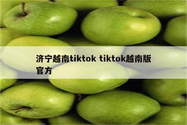 济宁越南tiktok tiktok越南版官方