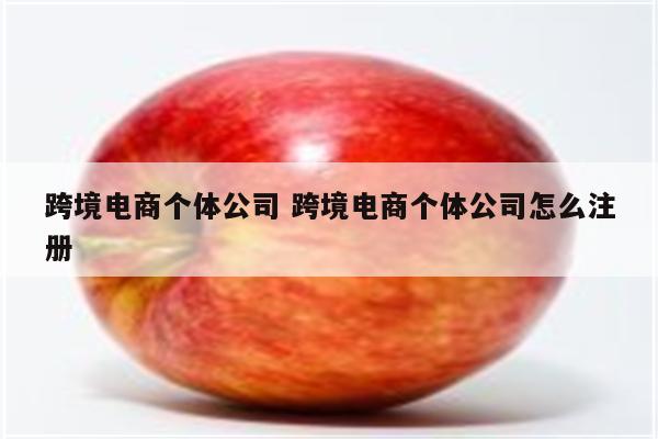 跨境电商个体公司 跨境电商个体公司怎么注册
