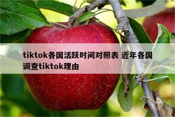 tiktok各国活跃时间对照表 近年各国调查tiktok理由