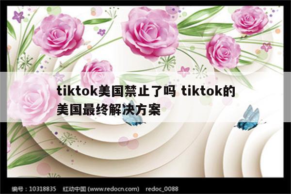 tiktok美国禁止了吗 tiktok的美国最终解决方案