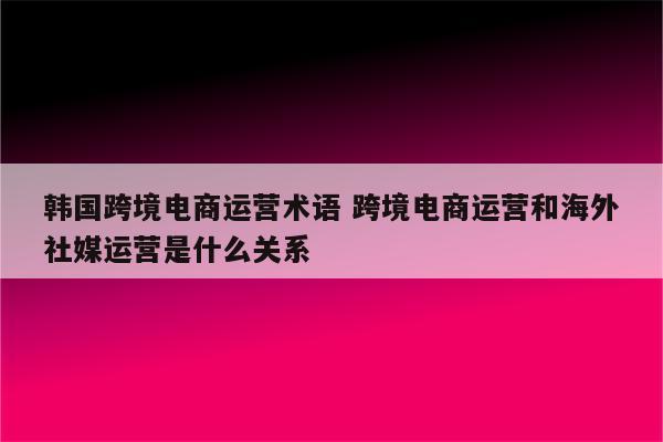 韩国跨境电商运营术语 跨境电商运营和海外社媒运营是什么关系
