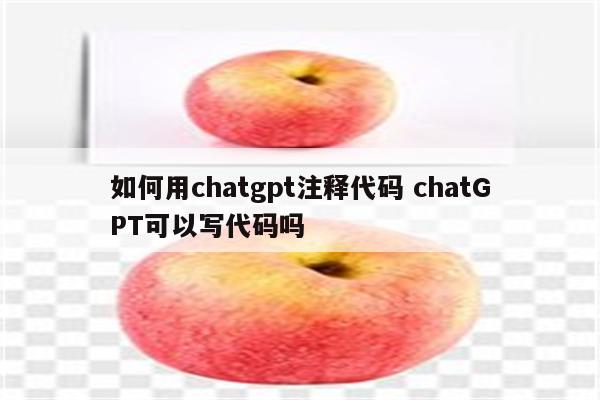 如何用chatgpt注释代码 chatGPT可以写代码吗