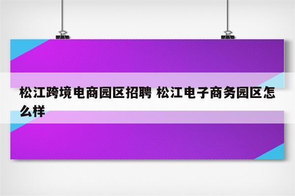松江跨境电商园区招聘 松江电子商务园区怎么样