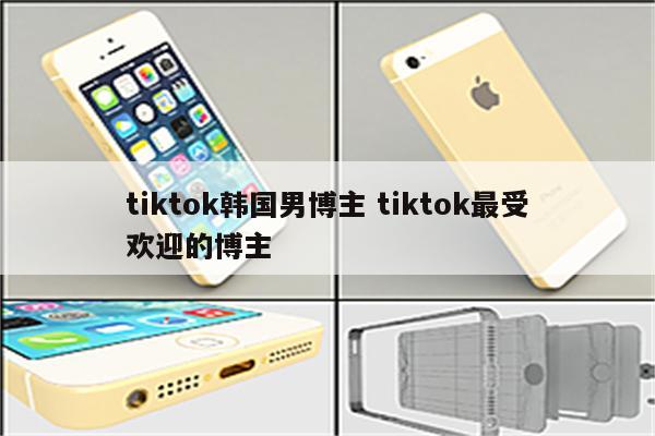 tiktok韩国男博主 tiktok最受欢迎的博主