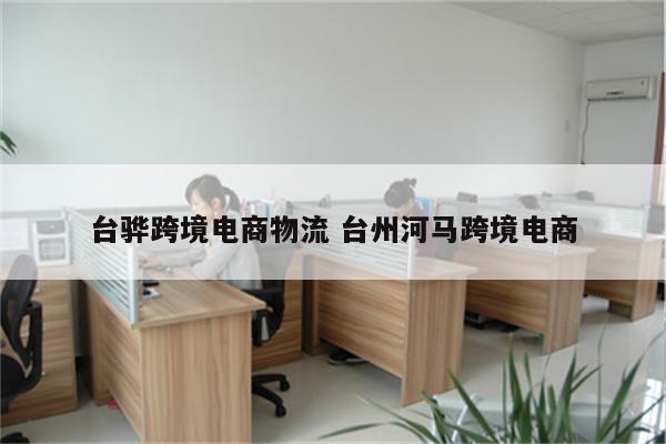台骅跨境电商物流 台州河马跨境电商