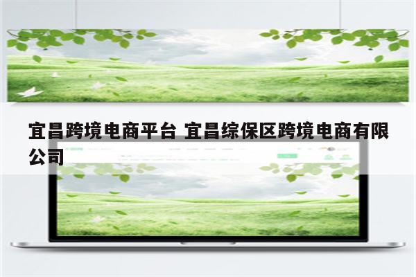 宜昌跨境电商平台 宜昌综保区跨境电商有限公司