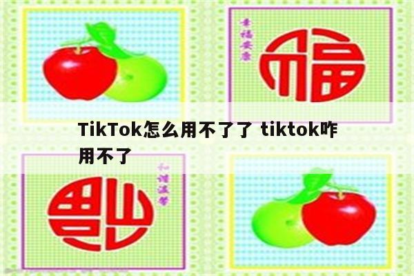 TikTok怎么用不了了 tiktok咋用不了