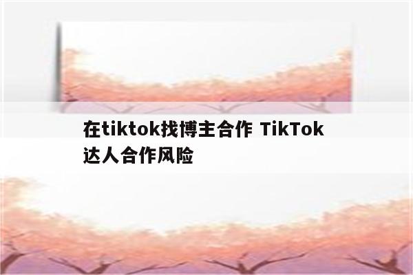 在tiktok找博主合作 TikTok 达人合作风险