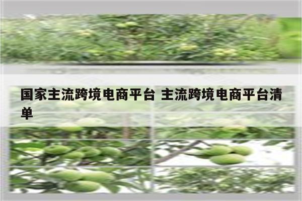 国家主流跨境电商平台 主流跨境电商平台清单