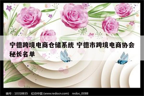 宁德跨境电商仓储系统 宁德市跨境电商协会秘长名单