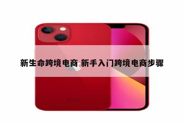 新生命跨境电商 新手入门跨境电商步骤