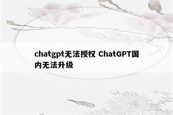 chatgpt无法授权 ChatGPT国内无法升级