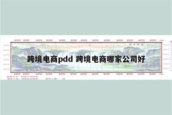 跨境电商pdd 跨境电商哪家公司好