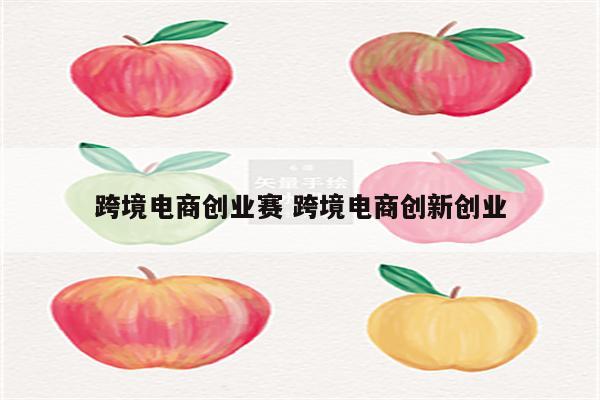 跨境电商创业赛 跨境电商创新创业