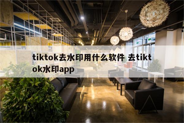 tiktok去水印用什么软件 去tiktok水印app