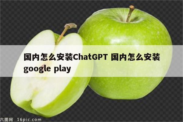 国内怎么安装ChatGPT 国内怎么安装google play