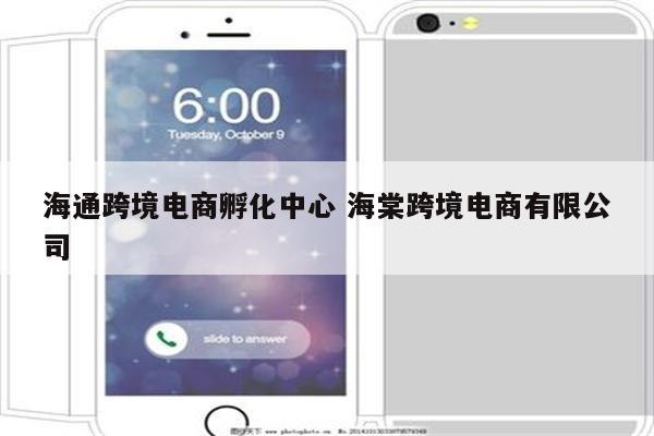 海通跨境电商孵化中心 海棠跨境电商有限公司