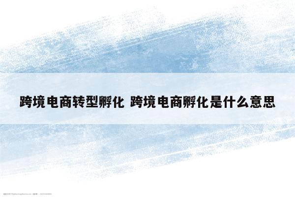 跨境电商转型孵化 跨境电商孵化是什么意思