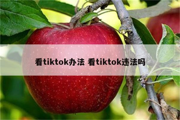 看tiktok办法 看tiktok违法吗
