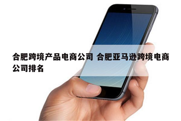 合肥跨境产品电商公司 合肥亚马逊跨境电商公司排名