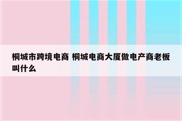 桐城市跨境电商 桐城电商大厦做电产商老板叫什么