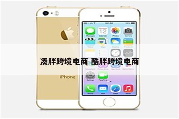 凑胖跨境电商 酷胖跨境电商
