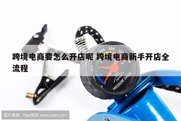 跨境电商要怎么开店呢 跨境电商新手开店全流程