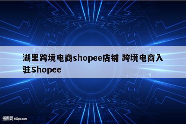 湖里跨境电商shopee店铺 跨境电商入驻Shopee