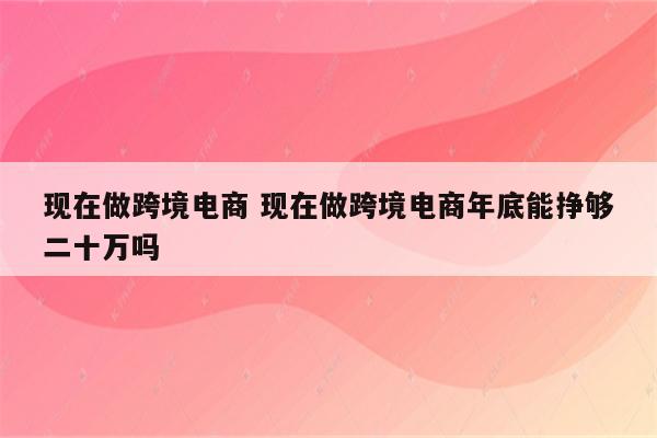 现在做跨境电商 现在做跨境电商年底能挣够二十万吗