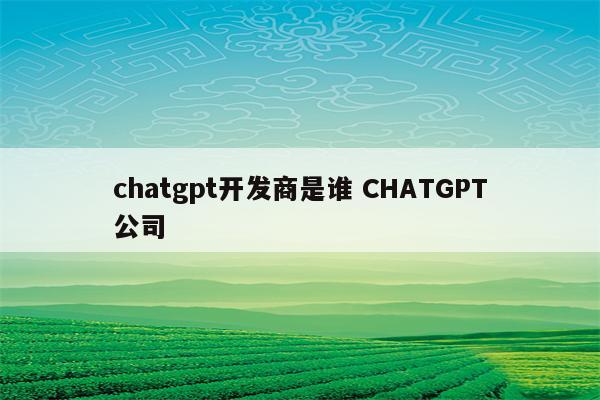 chatgpt开发商是谁 CHATGPT公司