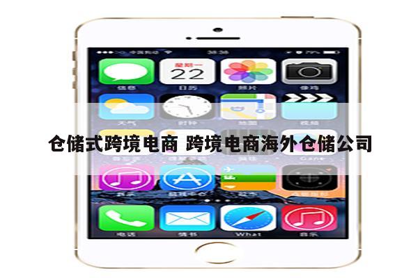 仓储式跨境电商 跨境电商海外仓储公司