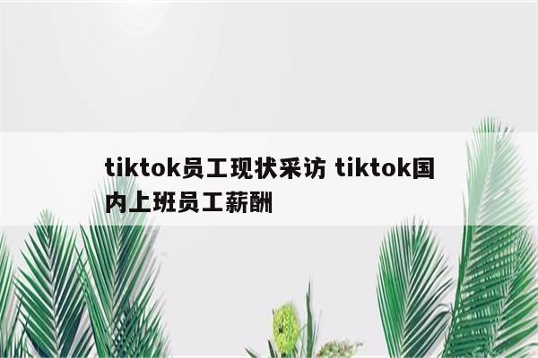 tiktok员工现状采访 tiktok国内上班员工薪酬
