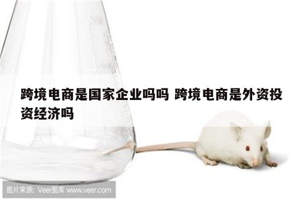 跨境电商是国家企业吗吗 跨境电商是外资投资经济吗