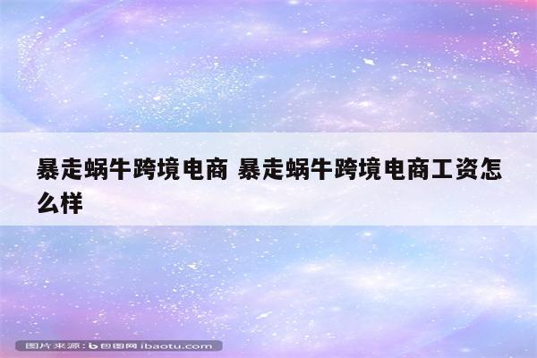 暴走蜗牛跨境电商 暴走蜗牛跨境电商工资怎么样