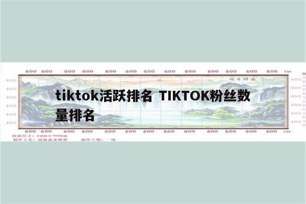 tiktok活跃排名 TIKTOK粉丝数量排名