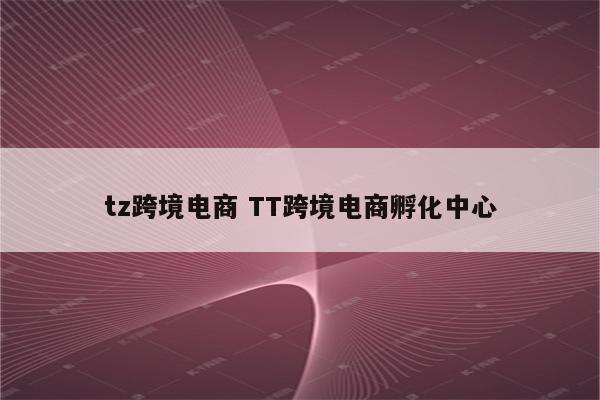tz跨境电商 TT跨境电商孵化中心