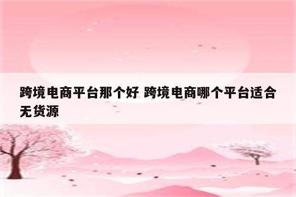 跨境电商平台那个好 跨境电商哪个平台适合无货源