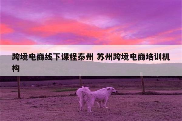 跨境电商线下课程泰州 苏州跨境电商培训机构