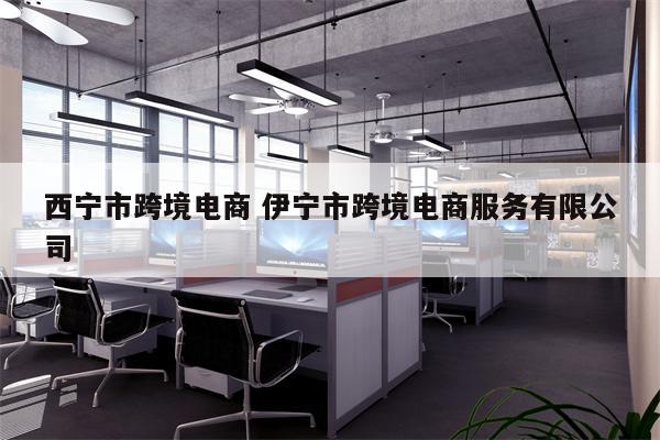 西宁市跨境电商 伊宁市跨境电商服务有限公司